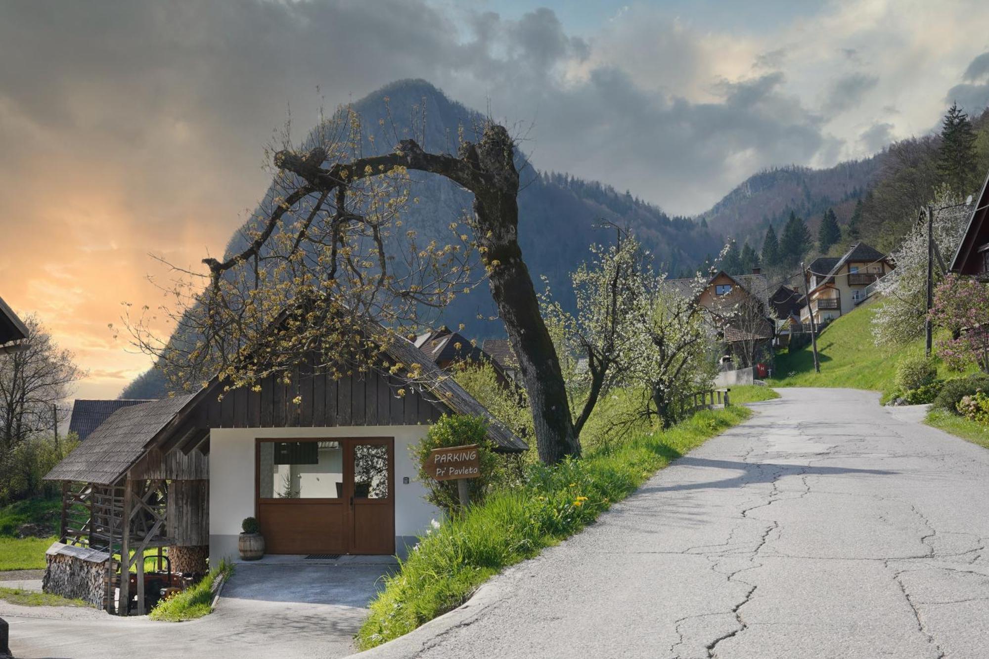 Apartments Pr' Pavleto Bohinji-tó Kültér fotó