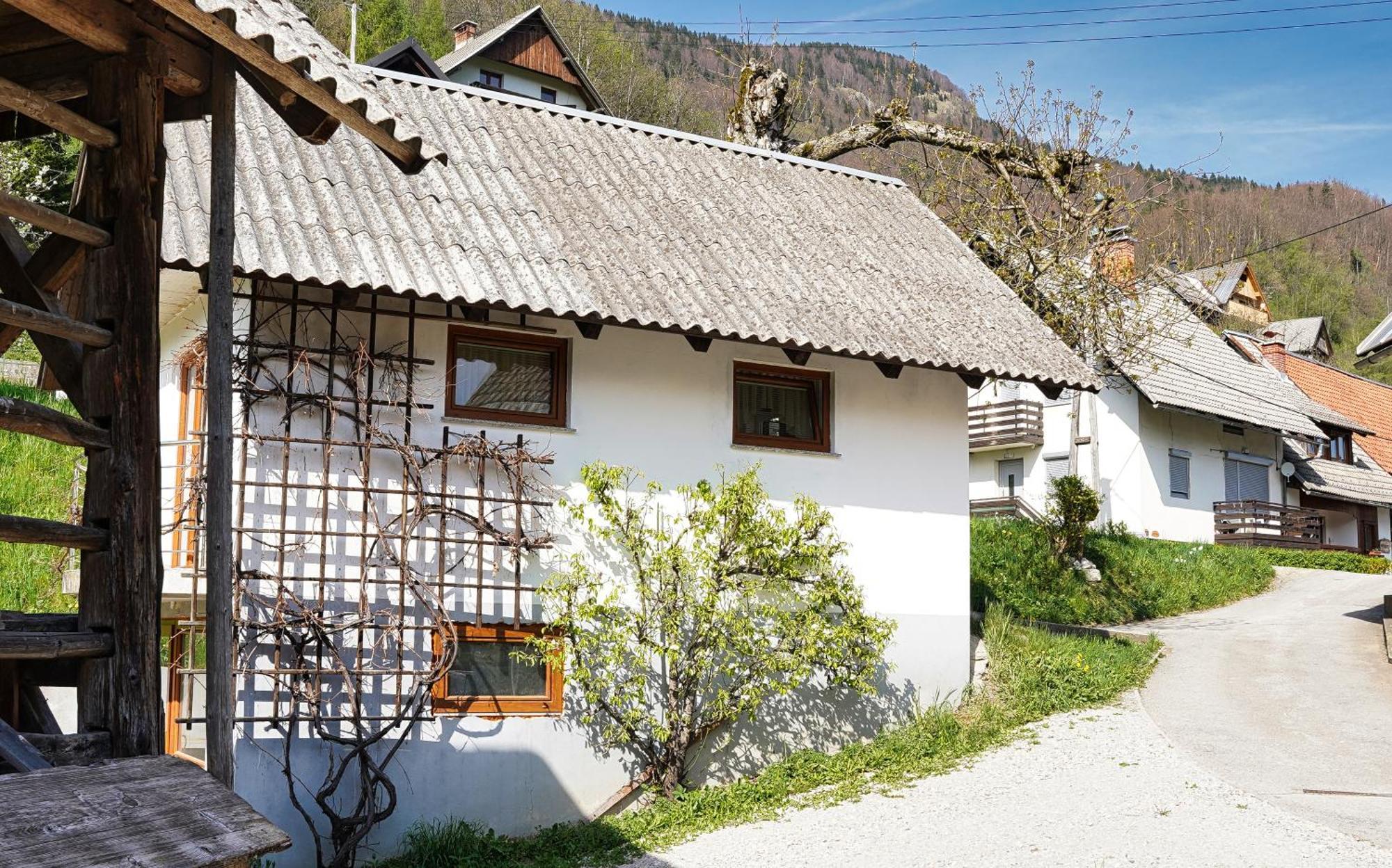 Apartments Pr' Pavleto Bohinji-tó Kültér fotó